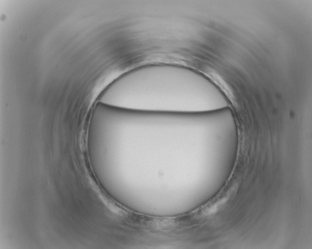 X0000089430893200707061341