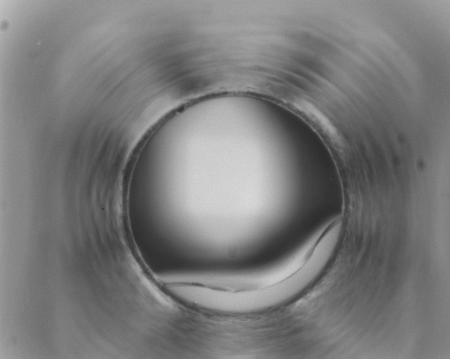 X0000089430894200707061341