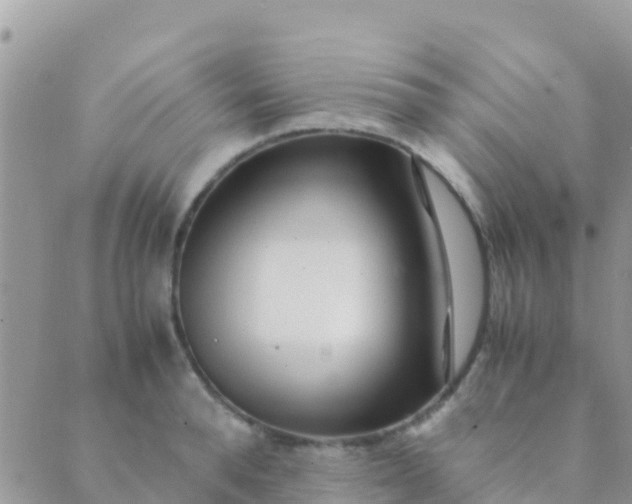 X0000089430896200707061341