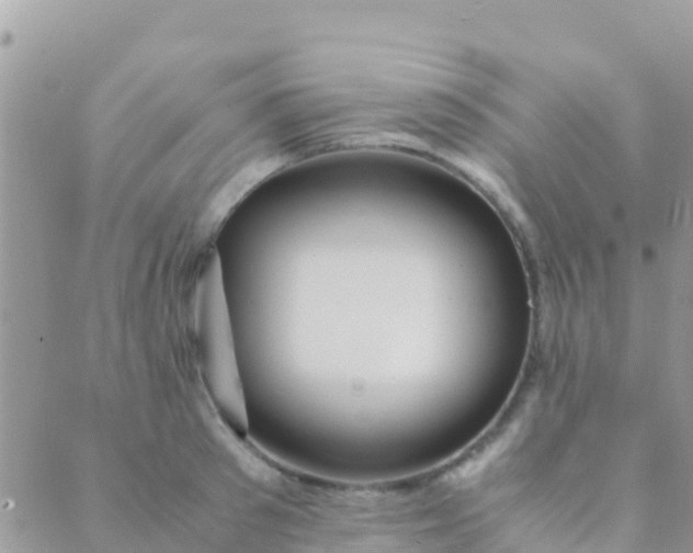 X0000089430897200707061341