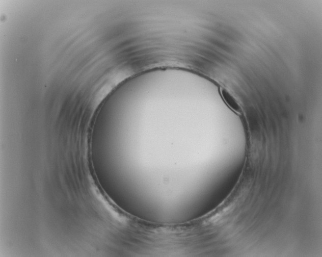 X0000089430898200707061341