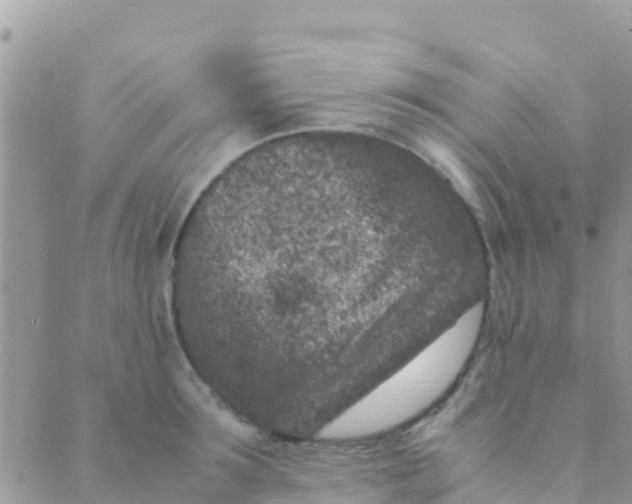 X0000089430899200707061341