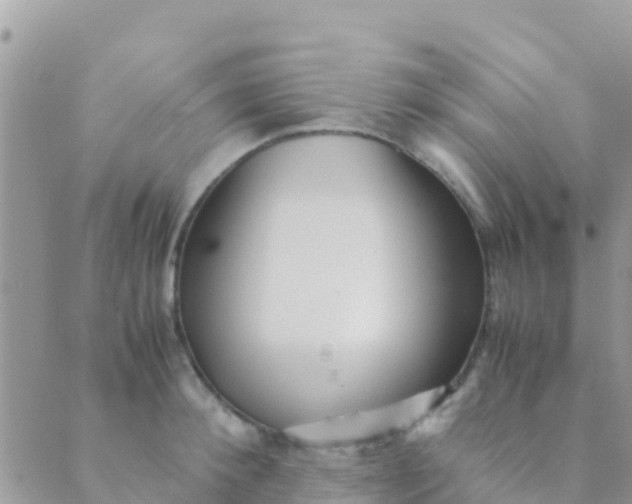 X0000089430900200707061340