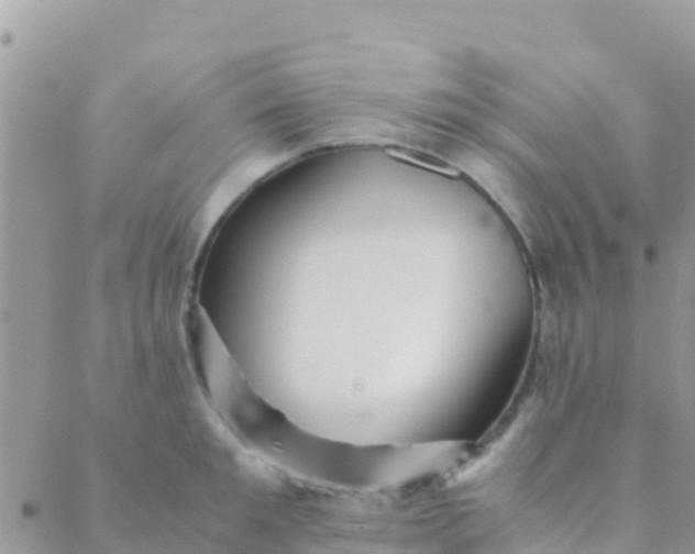 X0000089430901200707061340