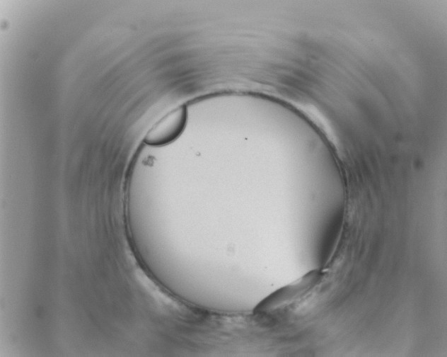 X0000089430903200707061340