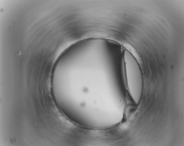 X0000089430904200707061340