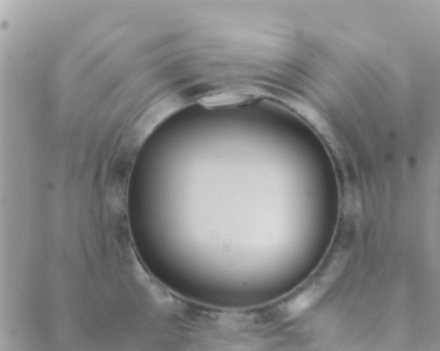 X0000089430905200707061340