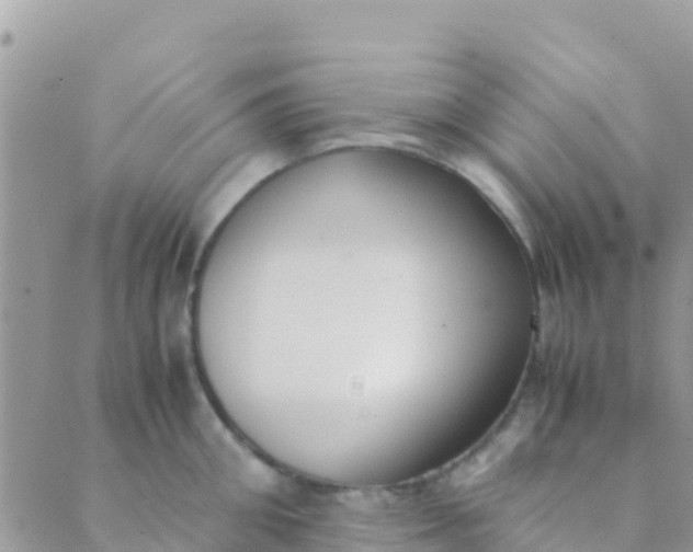 X0000089430906200707061340