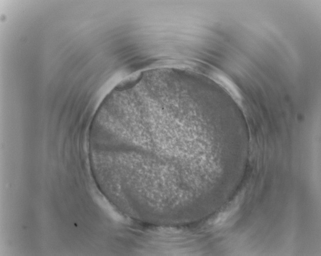 X0000089430907200707061340