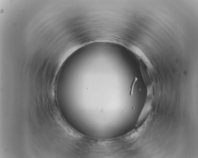 X0000089430908200707061340