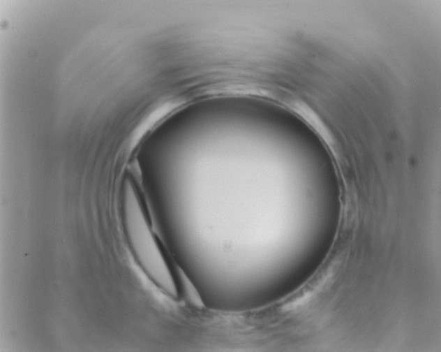 X0000089430909200707061340