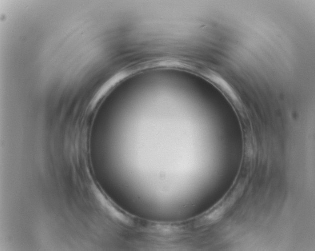 X0000089430910200707061340