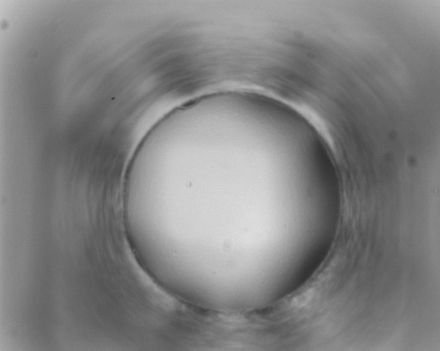 X0000089430911200707061340