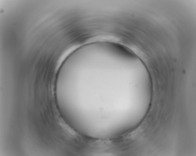 X0000089430912200707061340