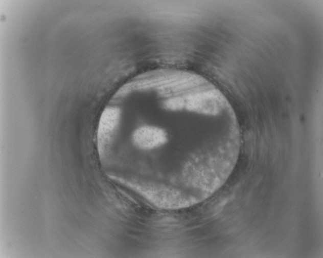 X0000089430913200707061340