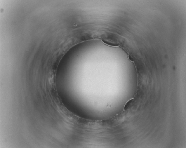 X0000089430914200707061340