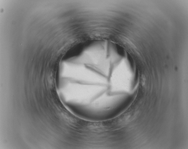 X0000089430915200707061340