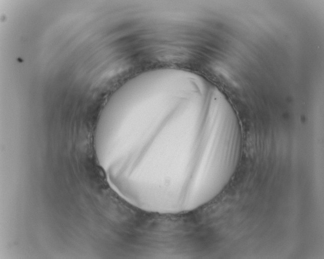 X0000089430917200707061340