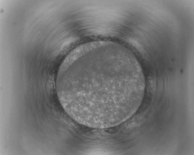 X0000089430918200707061340