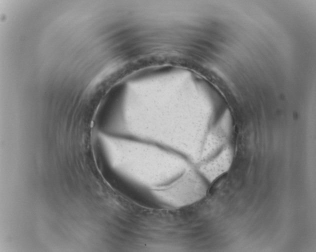 X0000089430919200707061340