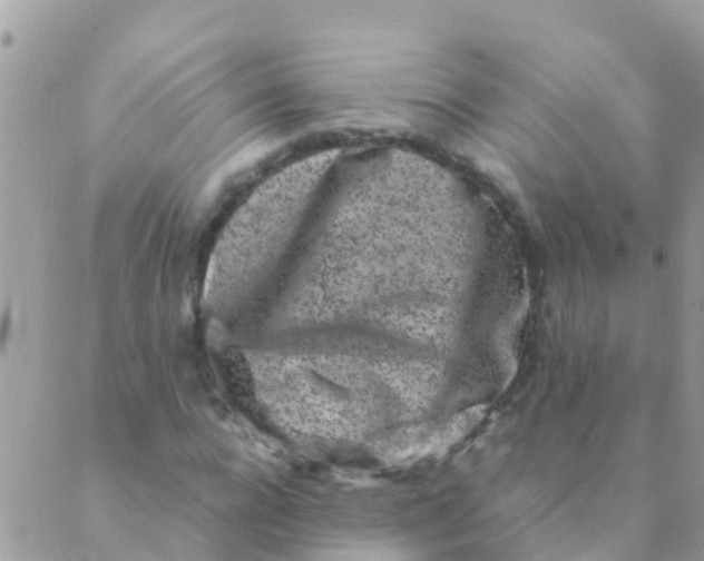 X0000089430920200707061340