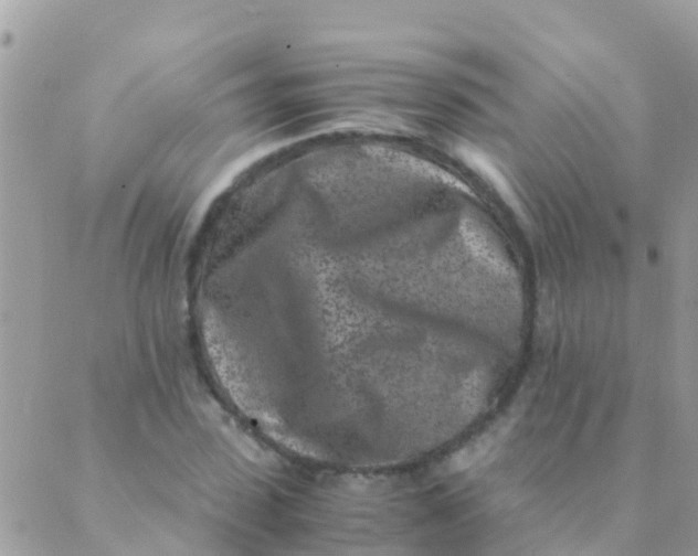 X0000089430923200707061340