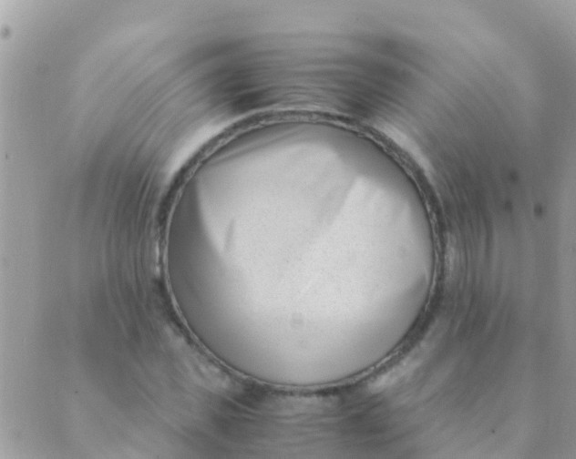 X0000089430925200707061340