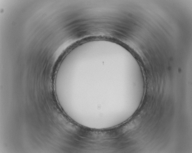 X0000089430927200707061340