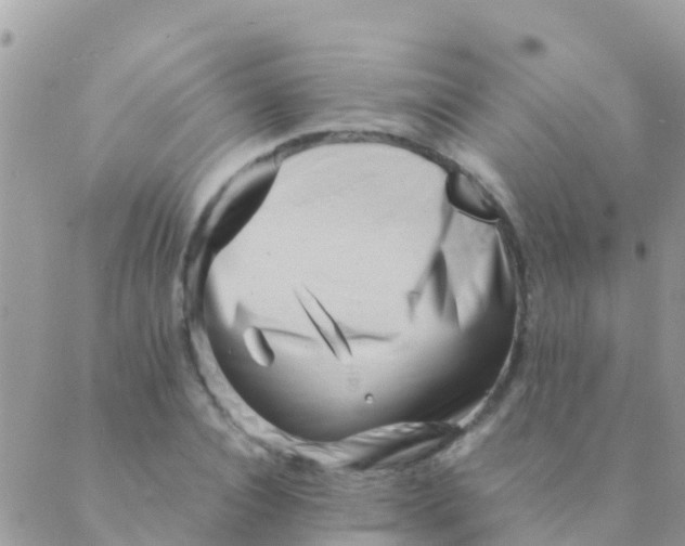 X0000089430928200707061340