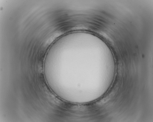 X0000089430929200707061340