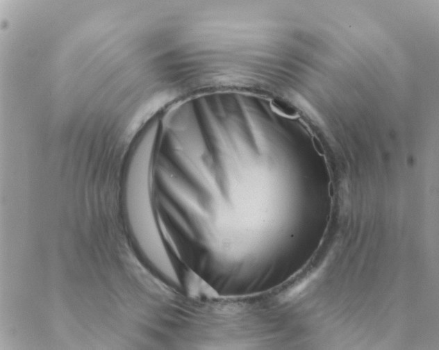 X0000089430930200707061340