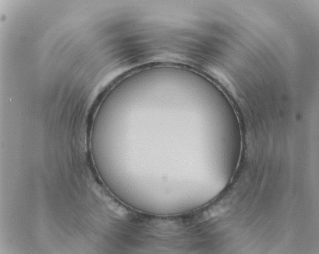 X0000089430931200707061340