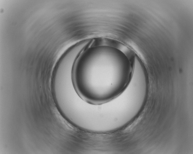 X0000089430932200707061340