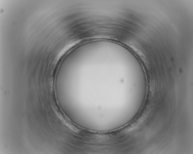 X0000089430933200707061340