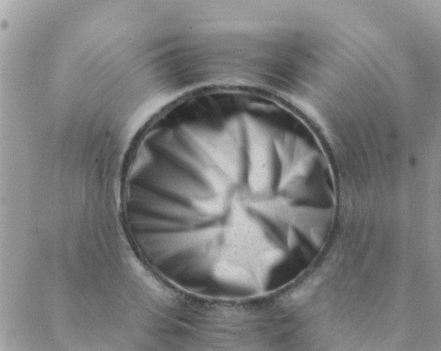 X0000089430935200707061340