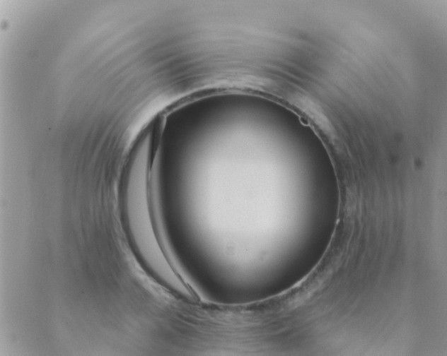 X0000089430936200707061340