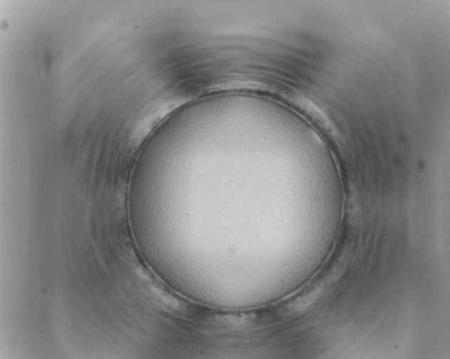 X0000089430937200707061340