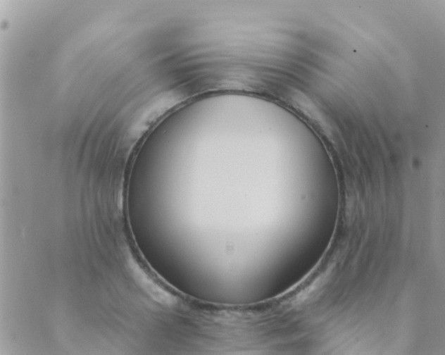 X0000089430938200707061340