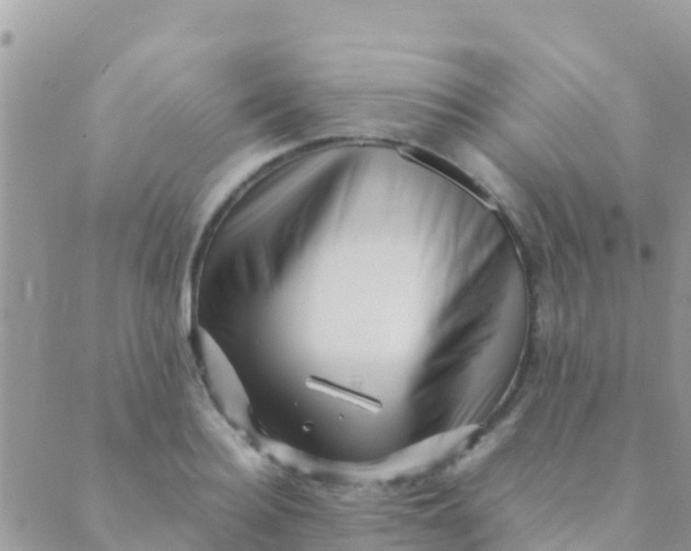 X0000089430940200707061340