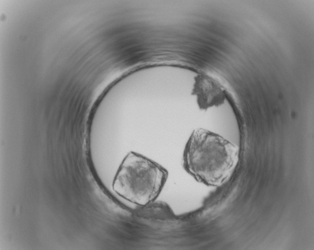 X0000089430941200707061340