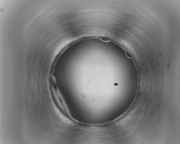 X0000089430942200707061340