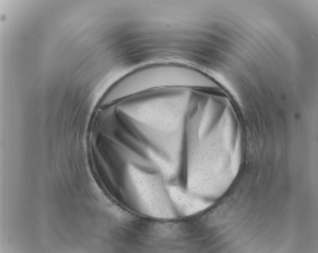 X0000089430943200707061340