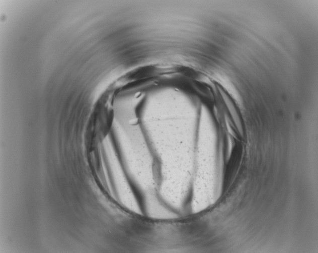 X0000089430944200707061340