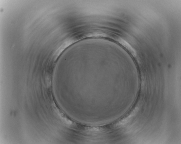 X0000089430945200707061340