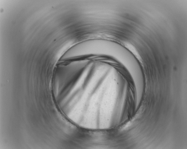 X0000089430946200707061340