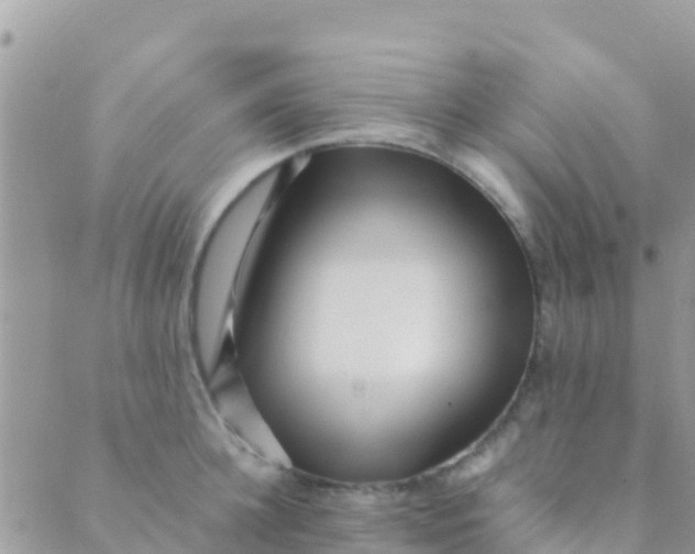 X0000089430948200707061340