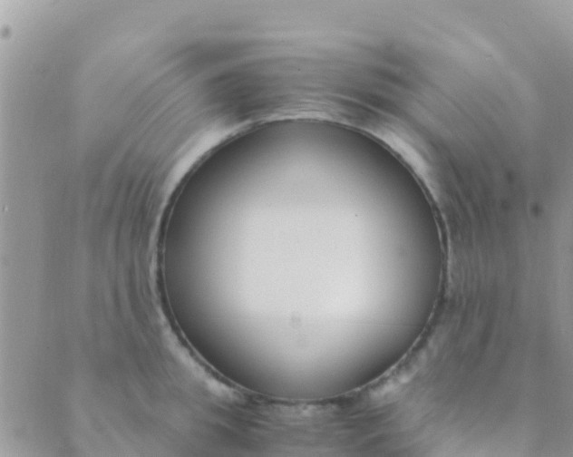 X0000089430949200707061340