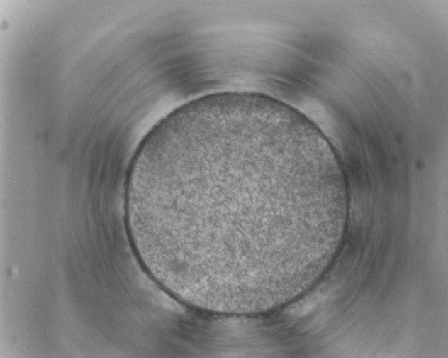 X0000089430950200707061340