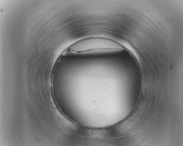 X0000089430951200707061340