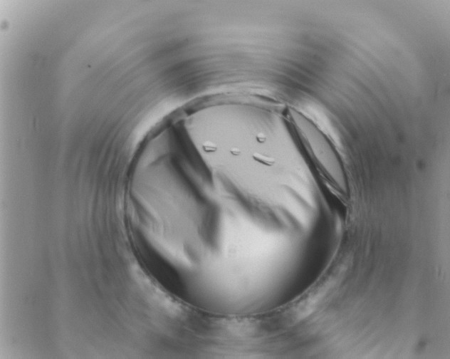 X0000089430952200707061340